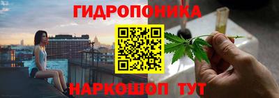 прущие крисы Свободный